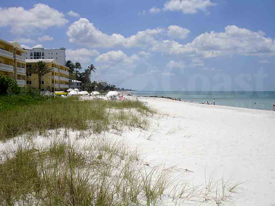 Gulf Towers View of Beach